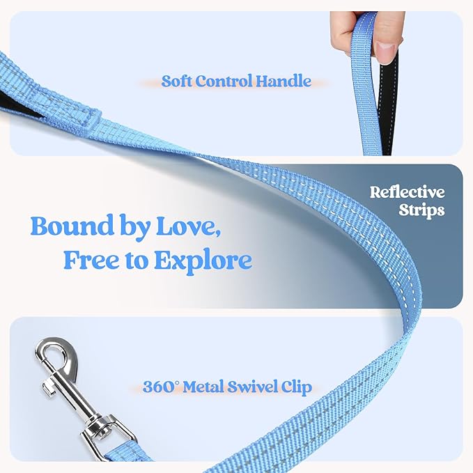 rabbitgoo Dog Harness Small Medium Sized and Leash Set, Step in Soft Light Puppy Vest, Breathable Mesh Pet Harness, Reflective for Safe Easy Walking, Blue & Orange XL-Mewly Pet