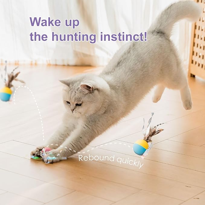 Plumed Cat Ball Toy for Indoor Cats, Assorted Color, Silicone Bouncy Ball Toy Set (5PCS)-Mewly Pet