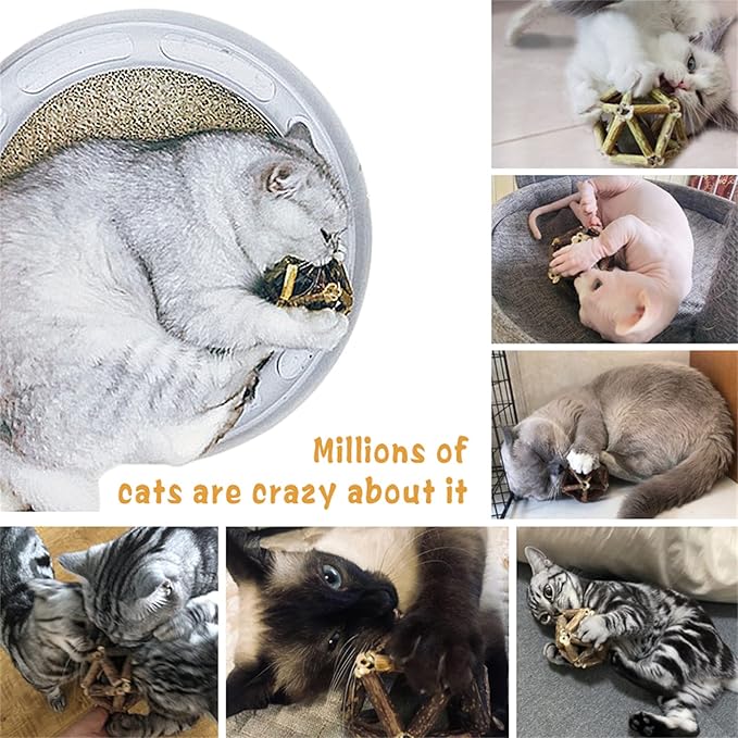 Catnip Toys-2Pcs Natural Silvervine Stick Catnip Ball&Bell Ball-Cat Toys for Indoor Cats- Cleaning Teeth Molar Tools Matatabi Cat Chew Toy-Kitten Toys All Breeds-Mewly Pet