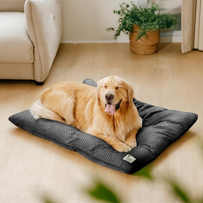 FUNNY FUZZY Washable XL Dog Crate Bed for Extral Large Dogs,Reversible Plush Flat Dog Bed Mat, Pillows,Soft Comfy Kennel Pad,Pet Sleeping Mattress,Pet Cushion,42" × 28", Charcoal Grey-Mewly Pet