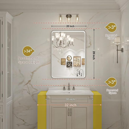 LED Bathroom Mirror with Lights,20x28 Inch Brushed Silver Framed Lighted Vanity Mirror,Anti Fog Stepless Dimmable Wall Mounted(Horizontal/Vertical)