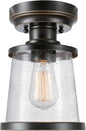 GLOBE Electric 44301 Charlie 1-Light Outdoor/Indoor Semi-Flush Mount Ceiling Light, Oil Rubbed Bronze, Clear Seeded Glass Shade, Bulb Not Included