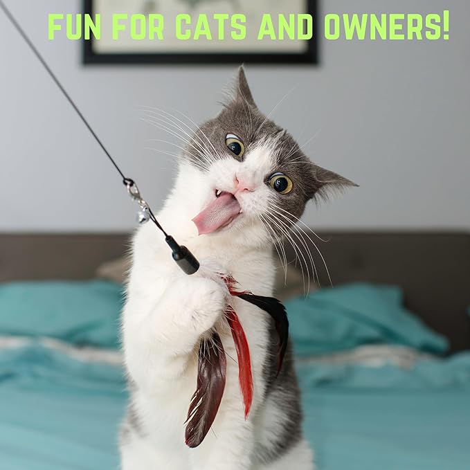 Smokey's Stash Interactive Cat Toy Wand 2pc Cat Fishing Pole Cat Toy for Indoor Cats with Feather and Funny Toy Refills to Drive Kittens Crazy-Mewly Pet