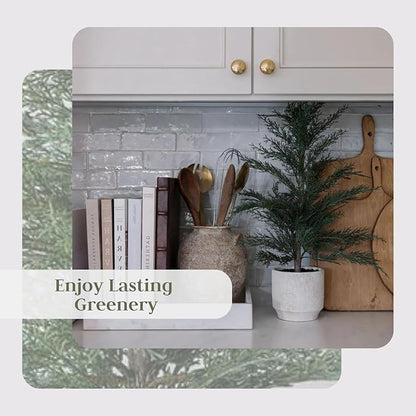 CG Hunter Holiday Collection, Set-of-2 Faux Cedar Trees, Premium Artificial Indoor & Outdoor Cedar Tree Stands 24" Tall in Creme Pot–Perfect Christmas Decoration