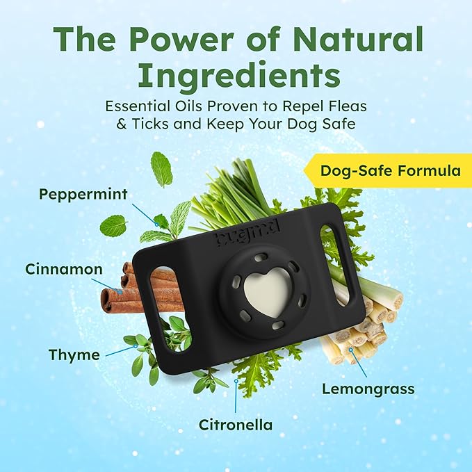 BugMD Paw Guardian Flea & Tick Pendant (3-Pack) with AirTag Holder – Plant-Based Flea & Tick Prevention for Dogs – Pet Collar Tag & GPS Tracker Holder for Dogs – Black-Mewly Pet