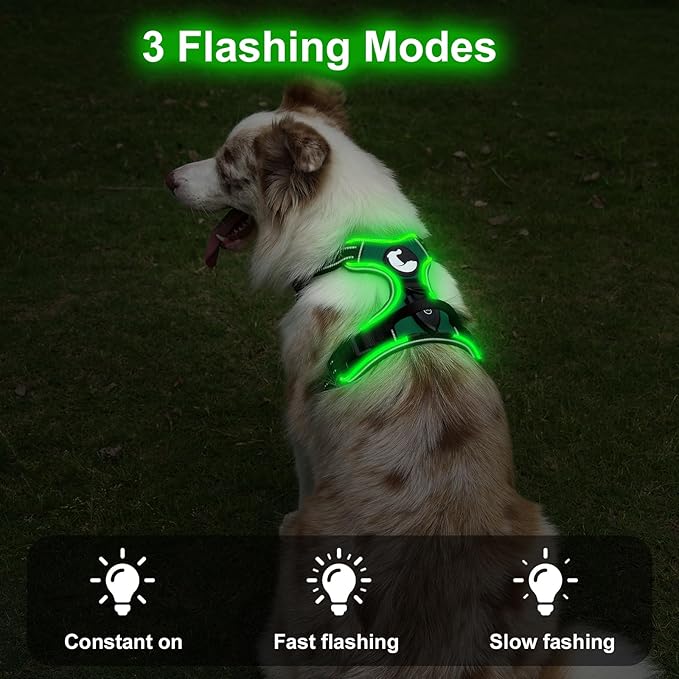 Taglory Light Up Dog Harness, Rechargeable No Pull Dog Vest with 3 Lightning Modes, Reflective Dog Harness with 2 Leash Clips & 4 Adjustable Slide Strips for Large Dogs, Turquoise-Green, L-Mewly Pet