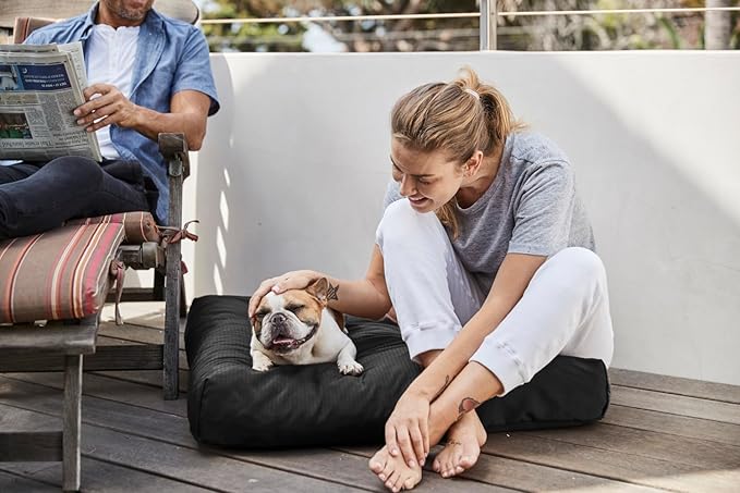 K9 Ballistics Tough Rectangle Pillow XL Dog Bed - Removable Cover, Washable, Durable & Water Resistant Dog Bed Made for X-Large Dogs 54"x38", Sandstone-Mewly Pet