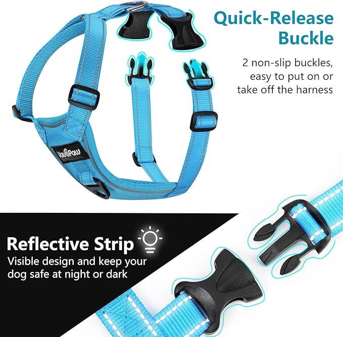 Dog Seat Belt Harness for Car, Dog Car Harness Adjustable Mesh Breathable & Dogs Seatbelt Safety Tether with Elastic Bungee for Small Medium Large Pets(Blue, L)-Mewly Pet