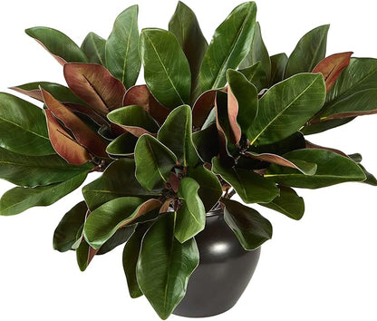 4 Pcs Magnolia Artificial Leaves Branches 22 Inch 3D Real Touch Faux Magnolia Stems Fake Magnolia Twigs for Indoor Outdoor Vase Filling Home Wedding Floral Arrangement Decoration