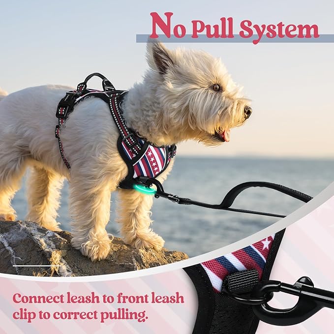 rabbitgoo Dog Harness No Pull with 2 Leash Clips, Adjustable Soft Padded, Reflective Oxford No Choke Pet Vest with Easy Control Handle for Large Dogs, Red Stripe, XS-Mewly Pet