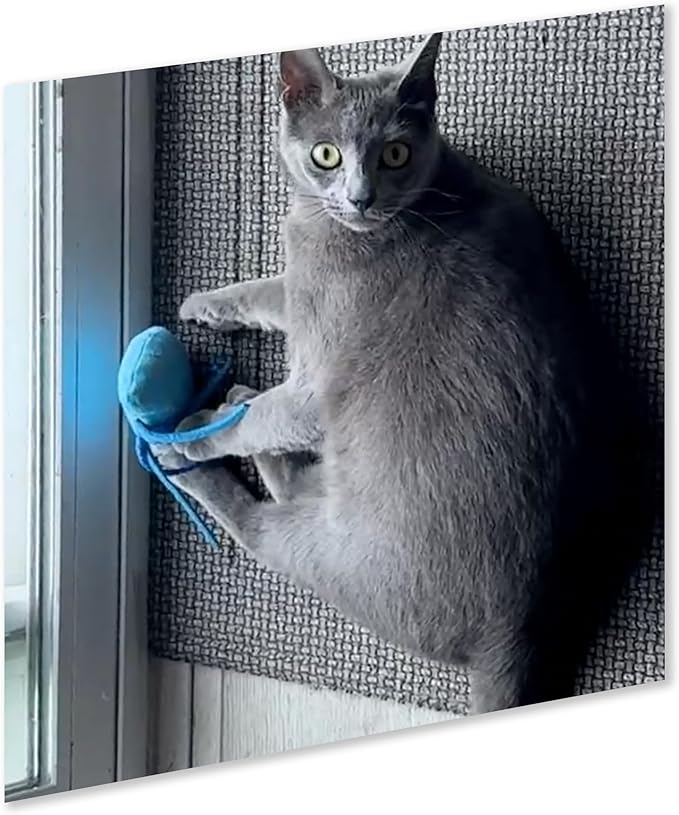 ZOOMIE Jelly Fish - Refillable Catnip Toy + Catnip | High Potency Hand Harvested Fresh Catnip | Soft Plush for Engaging Play-Mewly Pet