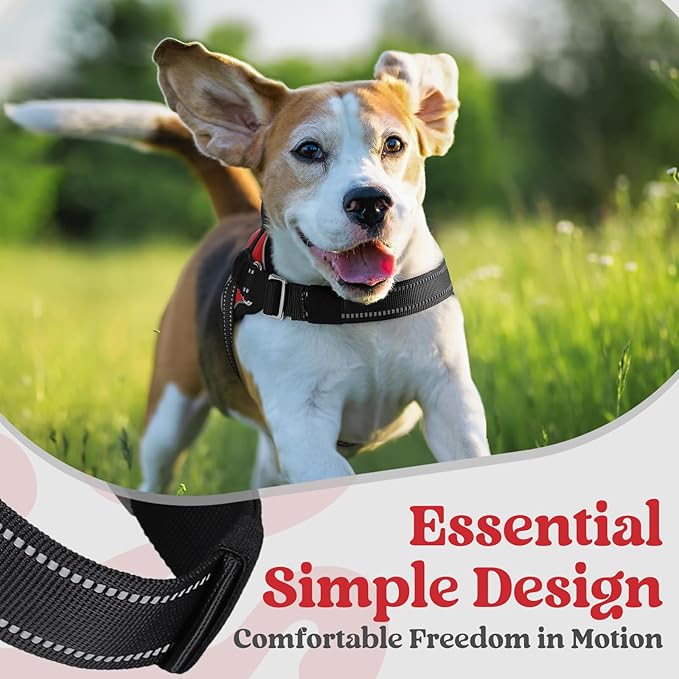 rabbitgoo Dog Harness for Small, Easy On Pet Vest with One Buckle, No Pull Adjustable Service Harness with D-Ring & Handle, Reflective for Safety Walking, Training, Red, S-Mewly Pet