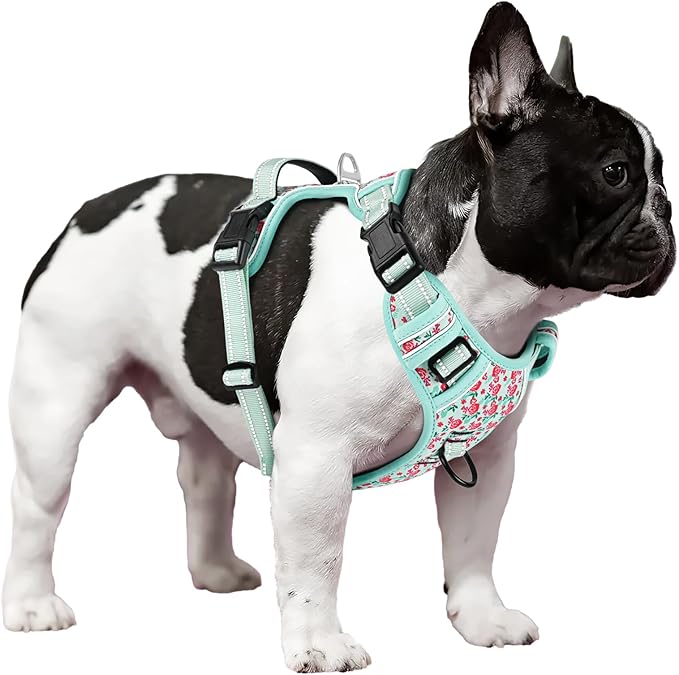 Timos Dog Harness, 3 Snap Buckles No-Pull Soft Padded Dog Vest with 2 Metal Leash Clips,Adjustable Reflective No Choke Pet Harness with Easy Control Handle for Small Dogs,Cyan,S-Mewly Pet