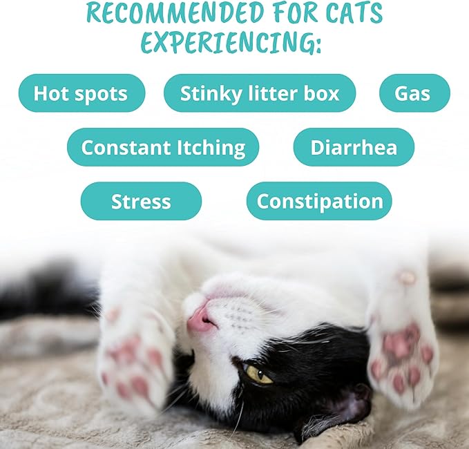 Under The Weather Pet Probiotic Chews for Cats | Promotes Normal Digestion, Balances Healthy Gut Health | 60 Star Shaped Soft Chews-Mewly Pet