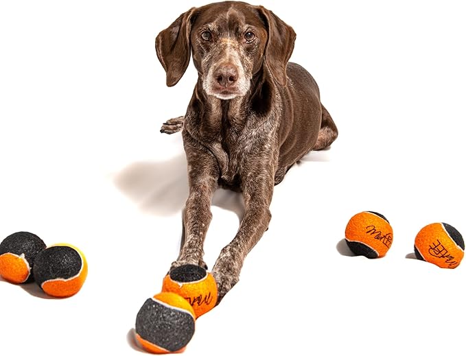 Midlee Orange/Black Dog Halloween Tennis Balls- Set of 6-Mewly Pet