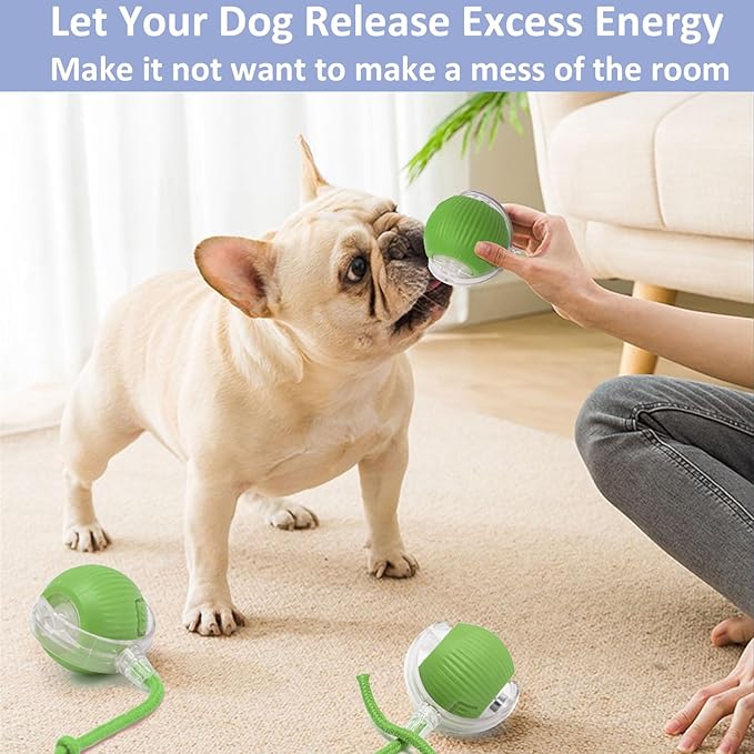 Chewie Viral Rolling Ball, Interactive Cat Toys Ball for Indoor, Cats Interactive Self Rolling Ball Dog Ball Automatic Cat Toy 360° Smart Automatic Rolling Pet Ball (Green)-Mewly Pet