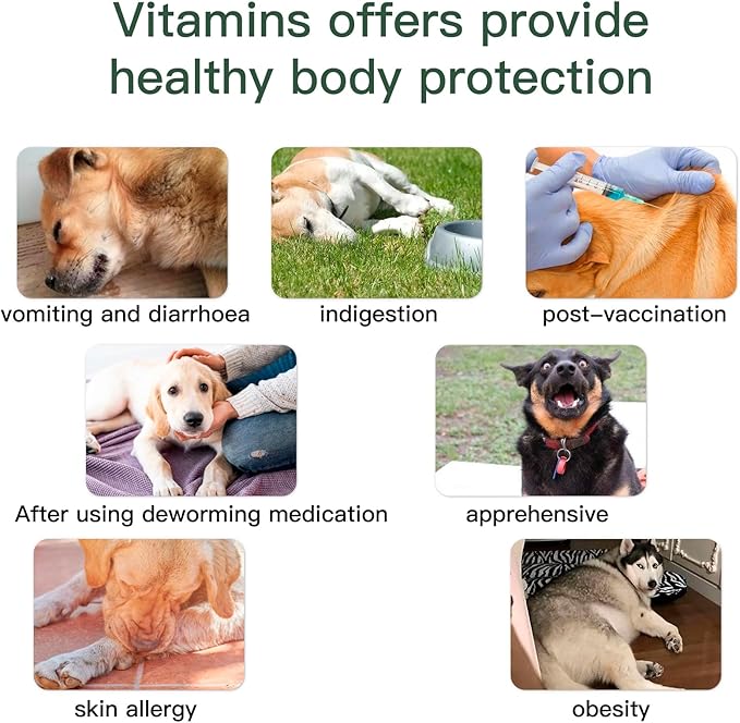 Dog Vitamins and Supplements, Senior & Puppy Multivitamin for Dogs Support with Glucosamine Chondroitin Omega Probiotics - Dog Multivitamins Chewable for Hip & Joint, Skin, Immune - (Chicken 240 Ct)-Mewly Pet