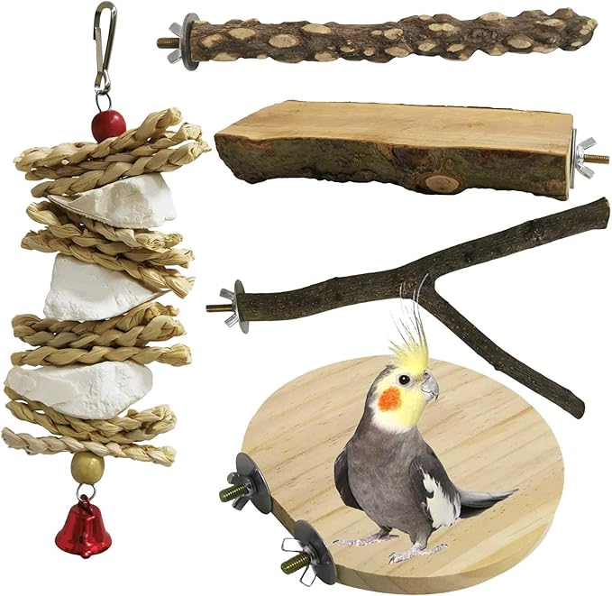 kathson 5PCS Wood Bird Perch Wooden Parrot Stand Toy Parakeet Standing Platform Chew Toys Natural Cuttlebone Paw Grinding Stick Cockatiels Cage Accessories Exercise Toy for Conures Budgies Lovebirds-Mewly Pet