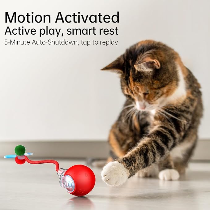 Interactive Cat Ball Toy - 2025 Smart Rolling Cat Toy with Shiny Tail, Motion Activated Boredom Relief for Indoor Cats, USB Rechargeable & Obstacle Avoidance-Mewly Pet