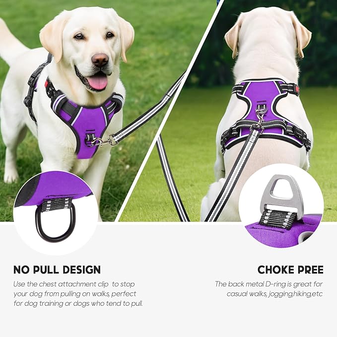 Timos Dog Harness Small Sized, No Pull with Neck Lockable Snap,No Choke Front Clip Dog Reflective Harness,Adjustable Metal Rings 3 Buckles,Easy Control Handle for Small Dogs Purple S-Mewly Pet