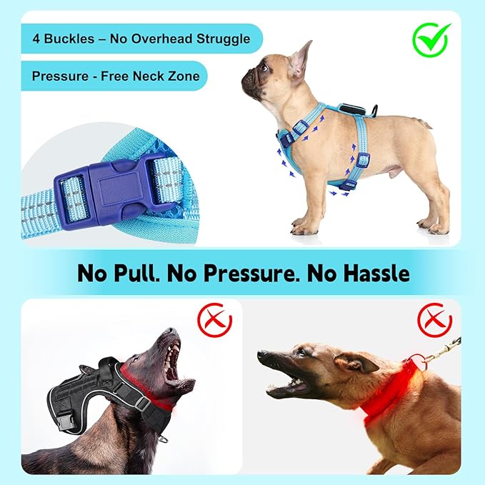 Rechargeable Light Up Dog Harness for Small Dogs – Adjustable LED Dog Vest with Reflective Strips, No Pull Glow in The Dark Puppy Harness for Night Walking Safety-Blue-Mewly Pet