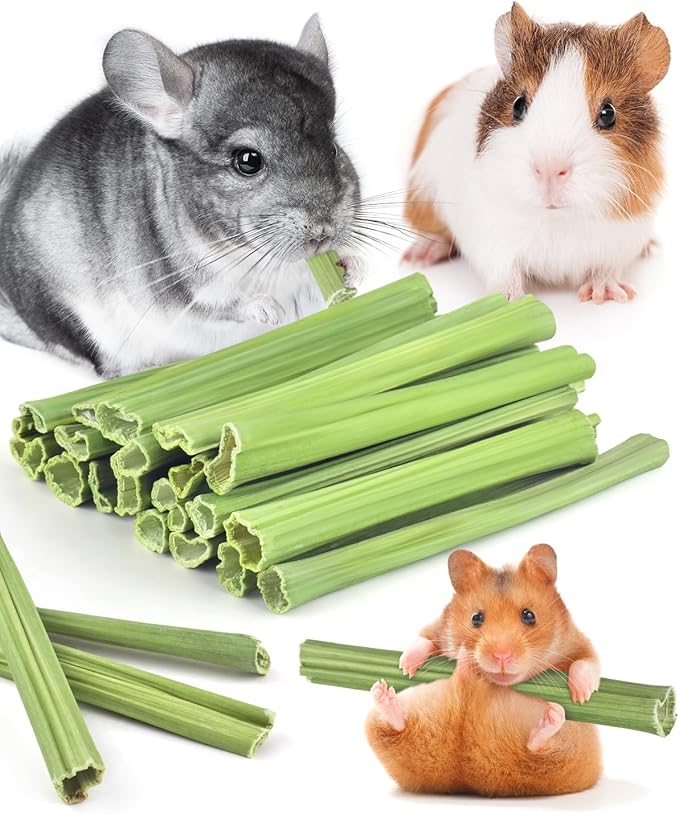 Bissap 25 PCS Guinea Pigs Chew Sticks, Natural Papaya Stems Bunny Chews Treats for Hamsters Chinchillas Small Animals Organic Molar Chewing Snack-Mewly Pet