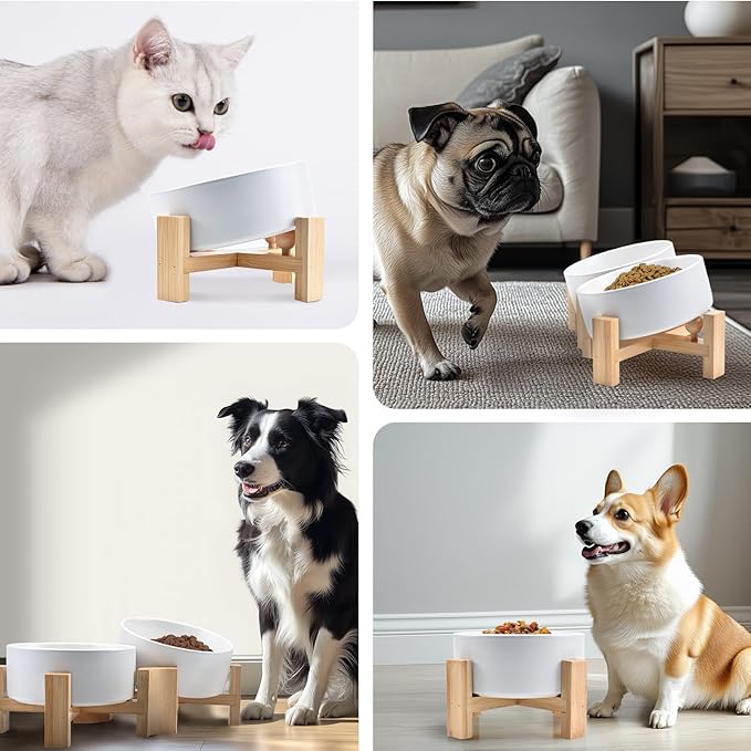 SPUNKYJUNKY 15° Slanted Ceramic Dog and Cat Bowl with Wooden Stand, Tilted Bulldog Food and Water Bowl No Slip Non-Spill for Cats Medium Dogs Big Face Pets 13.5 OZ (1.7 Cups, White × 2)-Mewly Pet