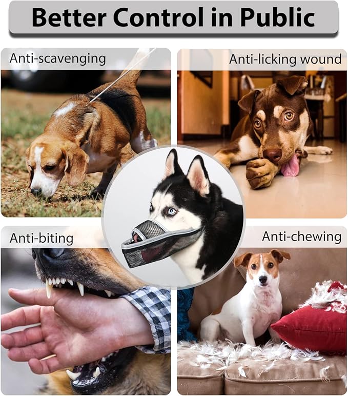 Crazy Felix Nylon Dog Muzzle for Small Medium Large Dogs Dachshund Beagle Poodle Labrador, Air Mesh Breathable and Drinkable Pet Mouth Guard for Anti-Biting Chewing Scavenging (XS, Reflective Trim)-Mewly Pet