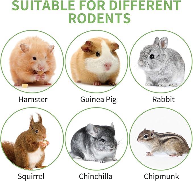 330g Natural Apple Sticks Rabbit Chew Toys, Bunny Teething Toys, Easy to Store in Jar, Ideal for Rabbit, Guinea Pig, Hamster, Chinchilla, Chipmunks, Squirrels, Gerbils and other Small Animals-Mewly Pet