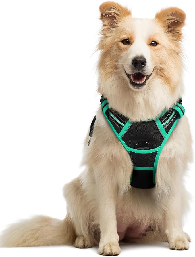 rabbitgoo Dog Harness No Pull with 2 Leash Clips, Adjustable Soft Padded, Reflective Oxford No Choke Pet Vest with Easy Control Handle for Medium Sized Dogs, Black & Turquoise, M-Mewly Pet