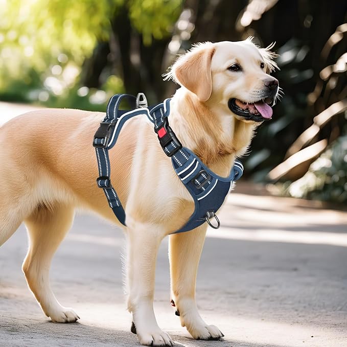 Timos Dog Harness Large Sized, No Pull Pet Harness with Neck Lockable Snap,No Choke Front Clip Dog Reflective Vest,Adjustable Metal Rings 3 Buckles,Easy Control Handle for Large Dogs Royal Blue L-Mewly Pet