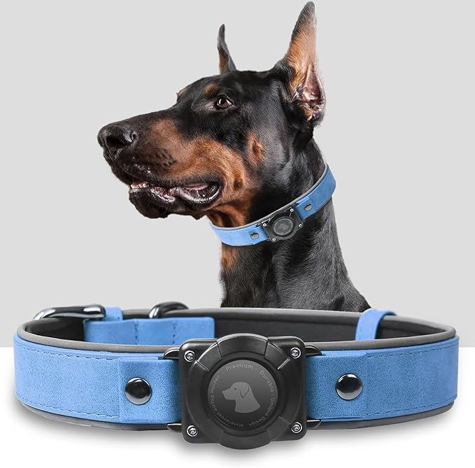 AirTag Dog Collar - Leather Dog Collar with Air Tag Holder | IPX8 Waterproof, Reflective, High - End, Adjustable Soft Padded | Dog GPS Tracker Collars Fit for Medium Large Dogs (Blue, M)-Mewly Pet