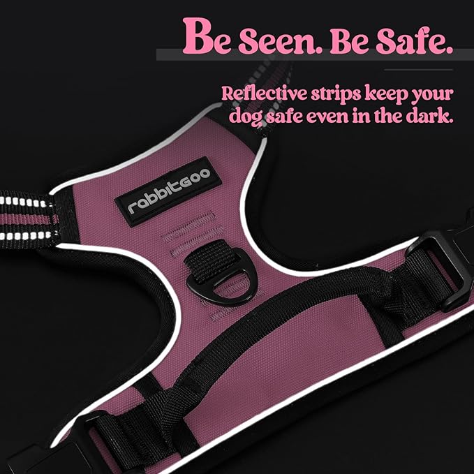 rabbitgoo Dog Harness No Pull with 2 Leash Clips, Adjustable Soft Padded, Reflective Oxford No Choke Pet Vest with Easy Control Handle for Large Dogs, Pink, XL-Mewly Pet