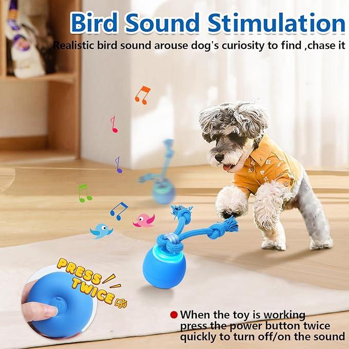 Interactive Dog Toys, Moving Dog Ball with Touch Activated, Active Rolling Ball for Puppy and Medium Dogs, Squeaky, USB Rechargeable-Mewly Pet