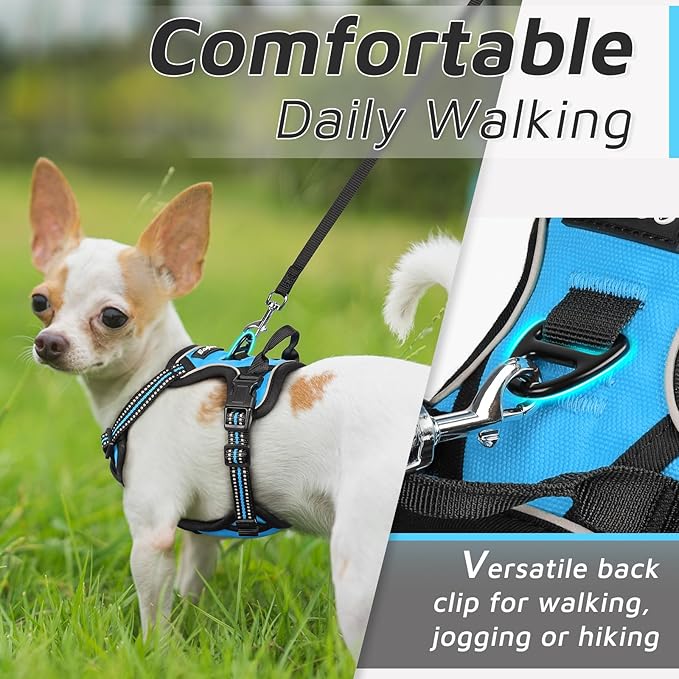 Eagloo Small Dog Harness No Pull, Service Vest with Reflective Strips and Control Handle, Adjustable and Comfortable for Walking, No Choke Pet Harness with 2 Metal Rings, Sky Blue, XS-Mewly Pet