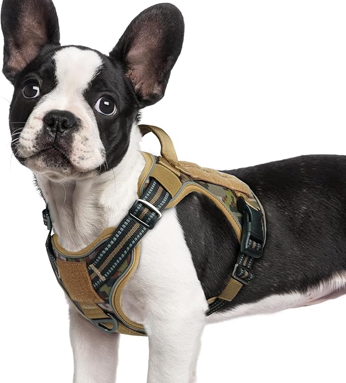 rabbitgoo Dog Harness Small Sized No Pull, Tactical Service Pet Vest with Molle and Control Handle, Adjustable and Reflective Military Harness for Easy Walking and Training, Desert camo, S-Mewly Pet