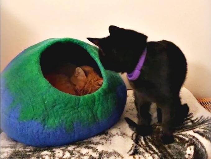 Woolygon Premium Felt Cat Cave Bed – Wool Kitty Beds Handcrafted Kitten Caves Bed for Indoor Cats - Made from 100% Eco-Friendly Merino Wool, Foldable Cat Hidewawy Covered Cat Houses (Emerald Indigo)-Mewly Pet