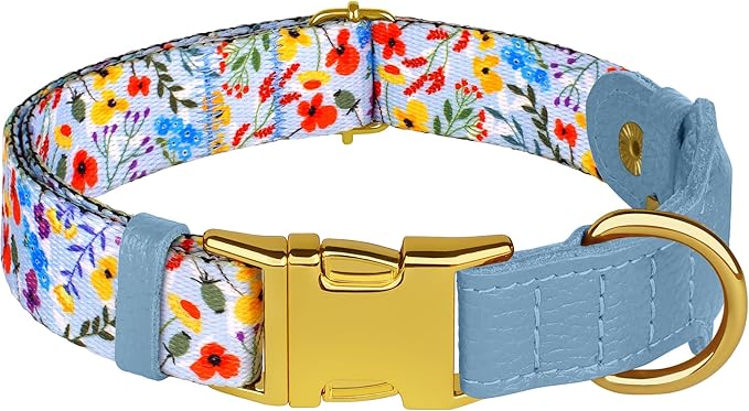 AirTag Dog Collar for Small Medium Large Breed - Adjustable Cute Pattern Dog Collar with Airtag Holder and Metal Buckle - Soft Leather Tracker GPS Apple Air Tag Pet Collars for Puppy Girl Boy Female-Mewly Pet