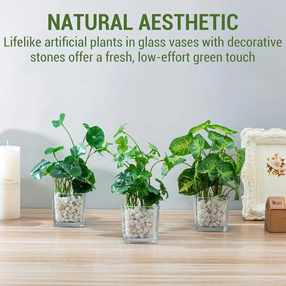 MyGift Artificial Clover and Taro Plants in Clear Glass Vase with Decorative White Stones, Set of 3