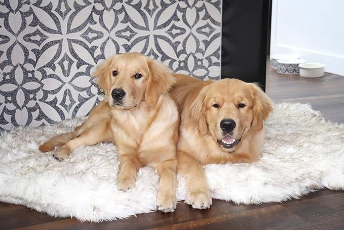 PupRug Orthopedic Dog Bed for Large Dogs with Fluffy Soft Faux Fur and Memory Foam for Joint Pain Relief, Machine Washable and Waterproof Couch Bed, White, Extra Large-Mewly Pet