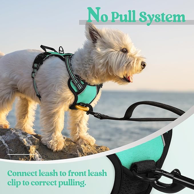 rabbitgoo Dog Harness No Pull with 2 Leash Clips, Adjustable Soft Padded, Reflective Oxford No Choke Pet Vest with Easy Control Handle for Puppy, Turquoise, XS-Mewly Pet