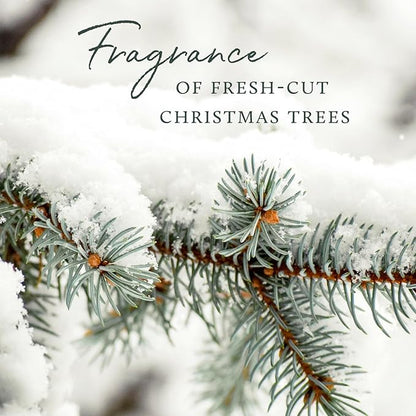 Thymes Frasier Fir Reed Diffuser Set – Includes Reeds, Fragrance Oil, and Frosted Glass Bottle – Fragrance Oil Diffuser – Room Fresheners – Luxury Home Decor – Green & White (Frosted Plaid, 4 fl oz)