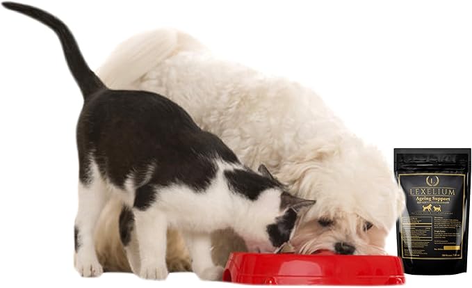 Nursing Supplement and Vitamins for Nursing Dogs and Cats - Nursing, Lactation and Recovery Supplement for Breeders - Muscle & Mental Development for Puppies and Kittens - 200g-Mewly Pet