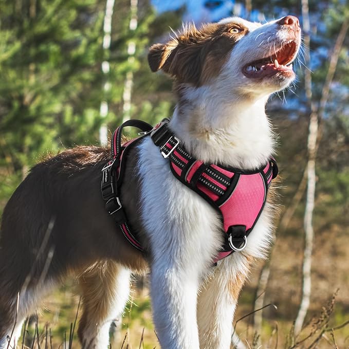 rabbitgoo Dog Harness Medium Sized, No Pull Dog Vest with 3 Buckles, Adjustable Soft Padded Pet Harness with Easy Control Handle and Reflective Strips, Pink, M-Mewly Pet