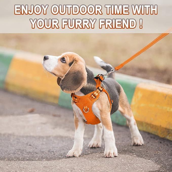 Dog Harness Step in Dog Vest Harness, Reflective Adjustable Puppy No Pull Harness Breathable Soft for Small and Medium Dogs Cats, Orange, XS-Mewly Pet