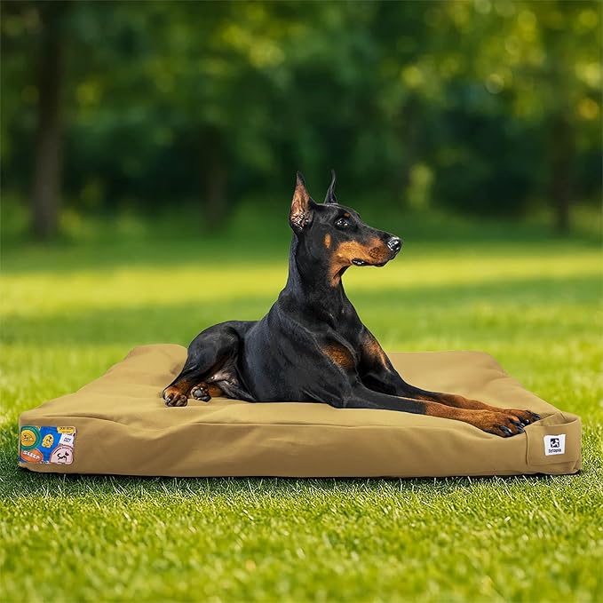 Sytopia 42-Inch Canvas Outdoor Dog Bed, Waterproof & Washable with Removable Cover, Ideal for Medium & Large Dogs, Chew-Proof Great for Indoor, Outdoor, Crate, or Patio Use (Yellow)-Mewly Pet