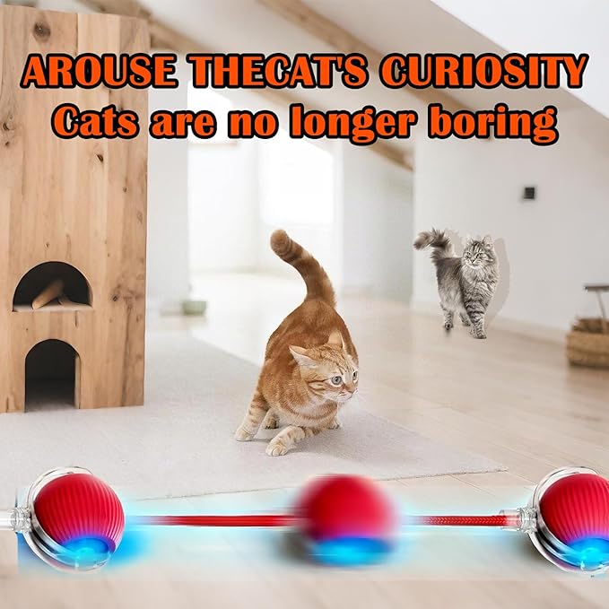 Cat Ball Toy,New Interactive Rolling Cats Dog Toy Balls 360° Smart Automatic Rolling Pet Ball, Fast Moving Toy for Dog,Interactive Toys for Cats (Red)-Mewly Pet