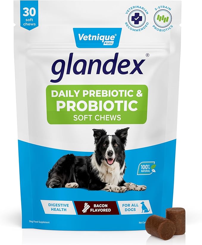 Vetnique Glandex Daily Probiotics for Dogs with Prebiotics to Support Gut Health with Fiber and Digestive Enzymes, Probiotic Chews or Powders (30ct Chews, Bacon Chews)-Mewly Pet