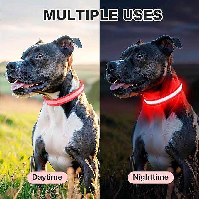 PcEoTllar Light up Dog Collar for Night Walking - LED Dog Collar Light Rechargeable Color Changing, Glow in The Dark Dog Collars Waterproof Glowing Dog Collars for Large Small Medium Dogs-Mewly Pet