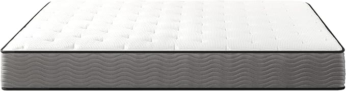 ZINUS 10 Inch Support Plus Pocket Spring Hybrid Mattress, Queen, Strong Coils for Durable Support, Pocket Innersprings for Motion Isolation, Mattress in A Box